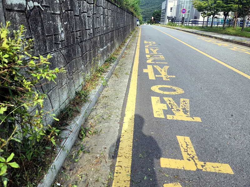 도로변 옹벽 아래 잡초 제거 작업 구간