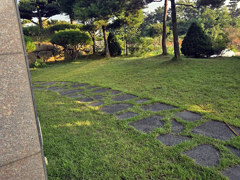 펜션 잔디 예초 완료 후 디딤돌 산책로가 드러난 정원